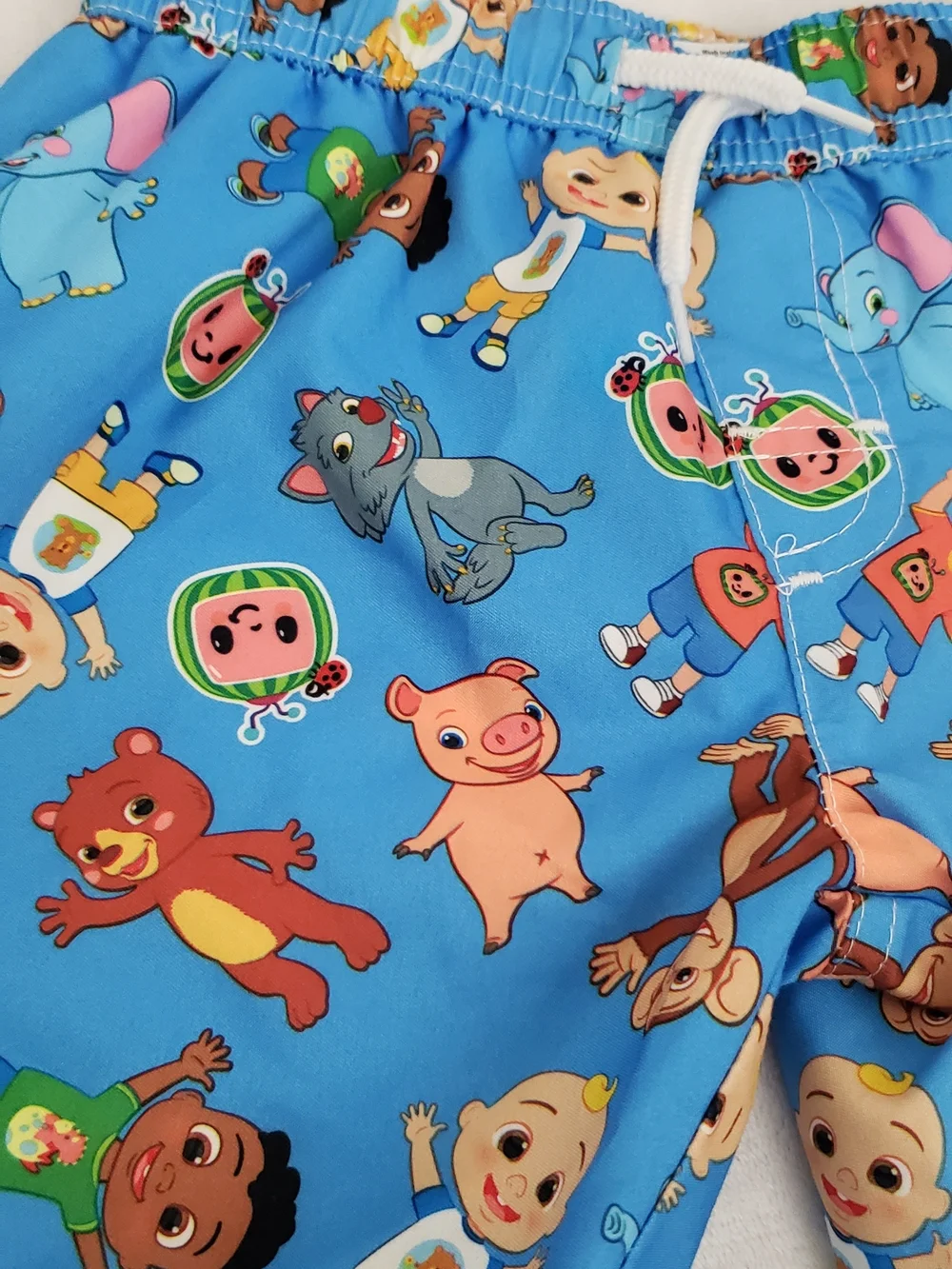 Kids Blue Cartoon Swim Trunks